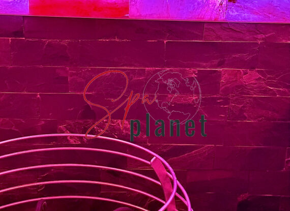 6 (2)